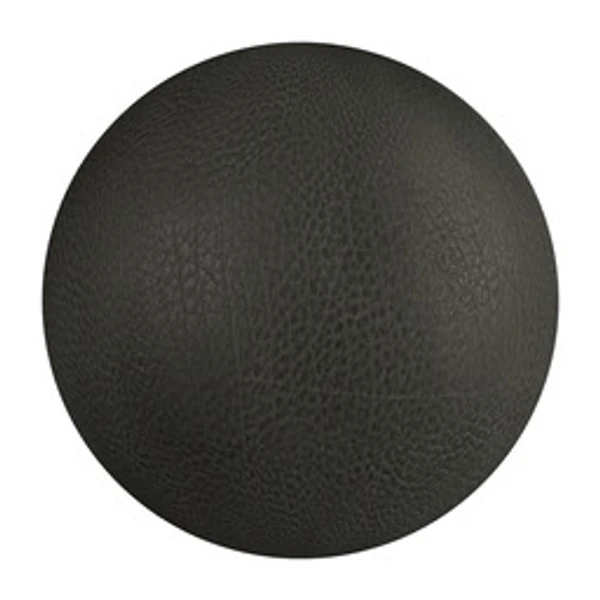 Leather 031