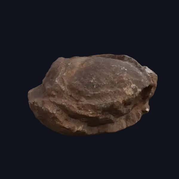 Stone 7 - 3D Models - 3D model - from Share Textures