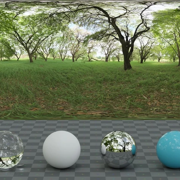 Shady Patch - HDRI map - from Poly Haven