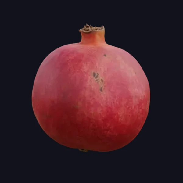 Pomegranate 1 - 3D Models - 3D model - from Share Textures