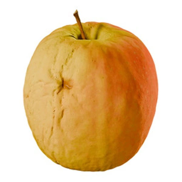 3DApple003 - 3D Models - from ambientCG