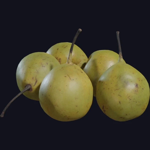 Food Pears Asian 01 - 3D Models - 3D model - from Poly Haven