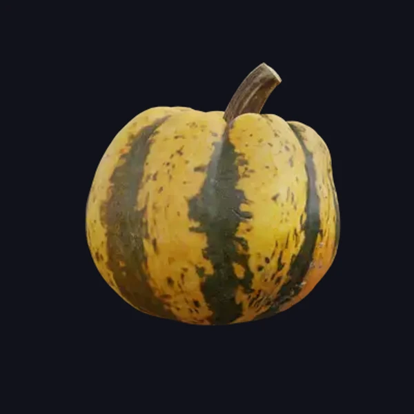 Pumpkin 1 - 3D Models - 3D model - from Share Textures