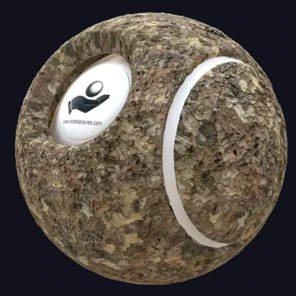 Bark 19 - Wood - PBR texture - from Share Textures