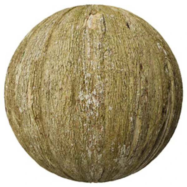 Bark 015