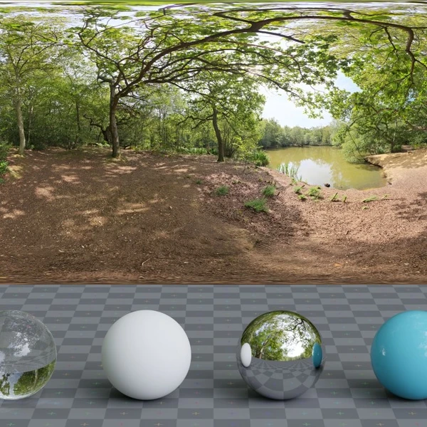 Epping Forest 01 - HDRI map - from Poly Haven