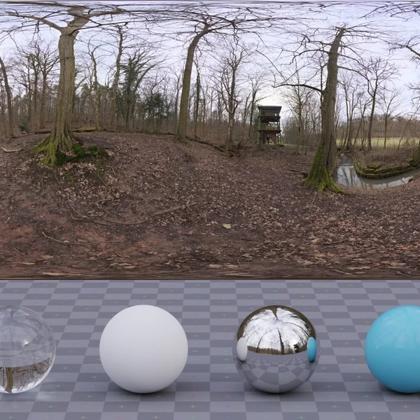 Autumn Forest 03 - HDRI map - from Poly Haven