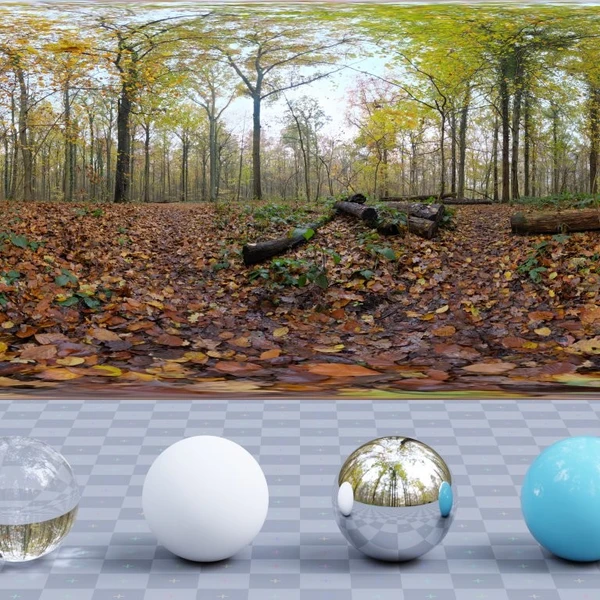 Autumn Ground - HDRI map - from Poly Haven