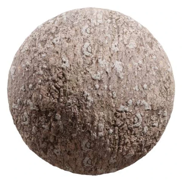 Bark 05