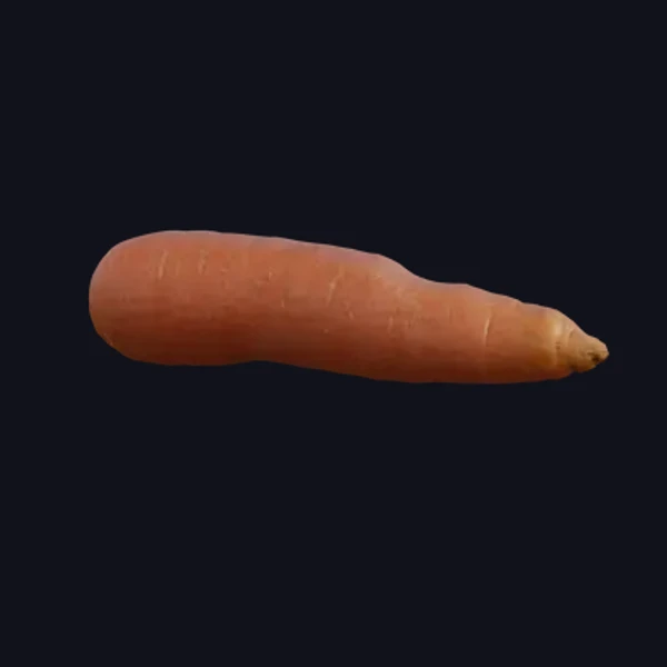 Carrot 1 - 3D Models - 3D model - from Share Textures