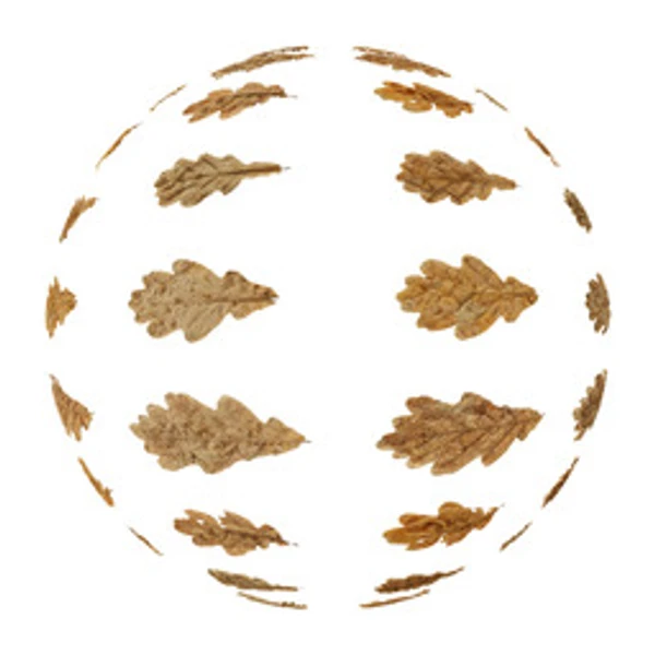 LeafSet 012