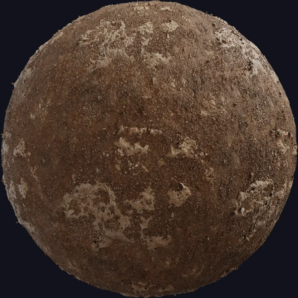 Coral Gravel - Rock - PBR texture - from Poly Haven