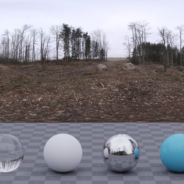 Hochsal Forest - HDRI map - from Poly Haven