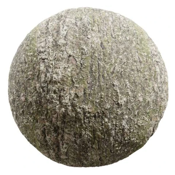 Mossy Bark 03