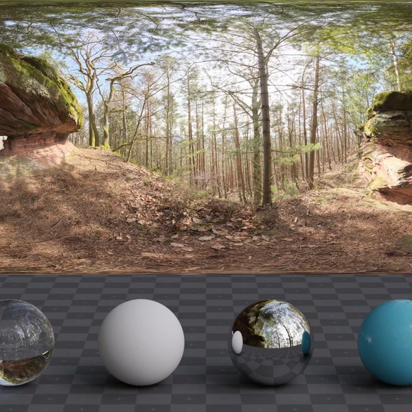 Phalzer Forest 01 - HDRI map - from Poly Haven
