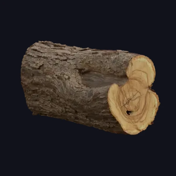 Wood Log 1 - 3D Models - 3D model - from Share Textures