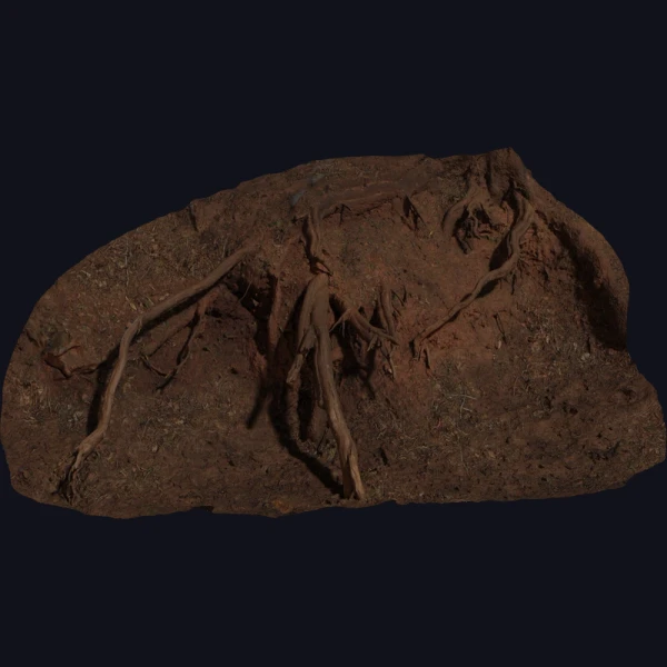Root Cluster 01 - 3D Models - 3D model - from Poly Haven