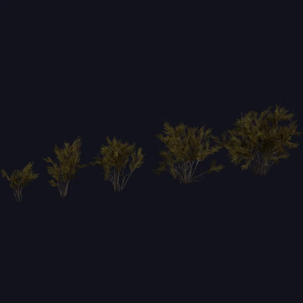 Wild Rooibos Bush - 3D Models - 3D model - from Poly Haven