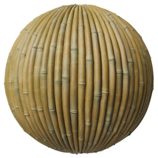 Bamboo 001C