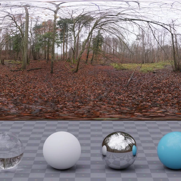Muddy Autumn Forest - HDRI map - from Poly Haven