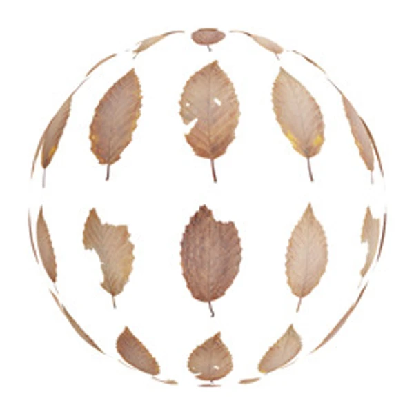 LeafSet 011