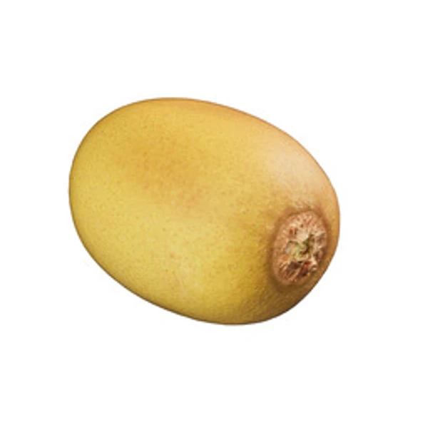 3DKiwi001