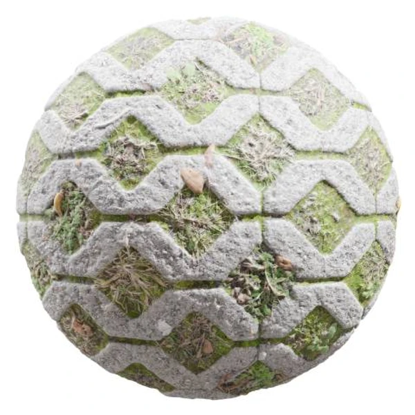 Mossy Driveway 01