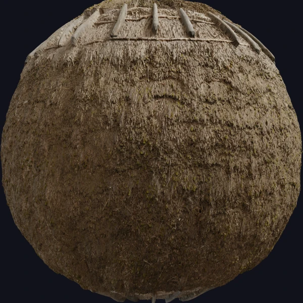 Reed Roof 03