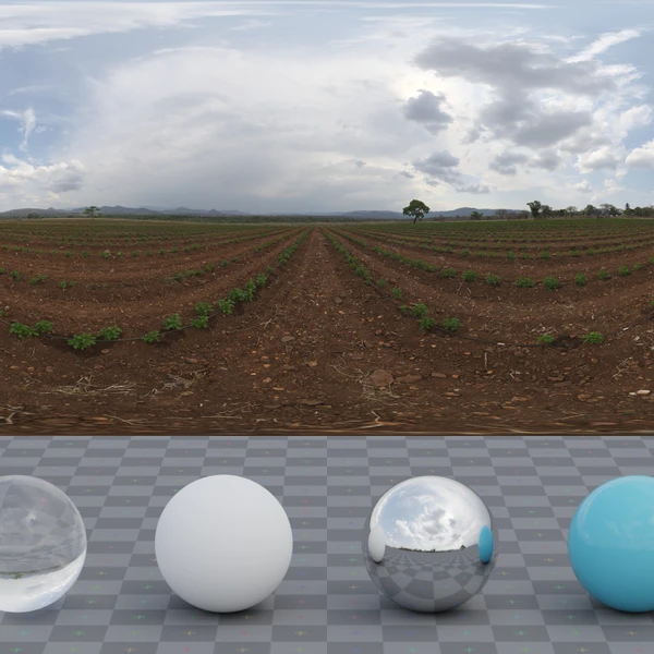 Farm Field