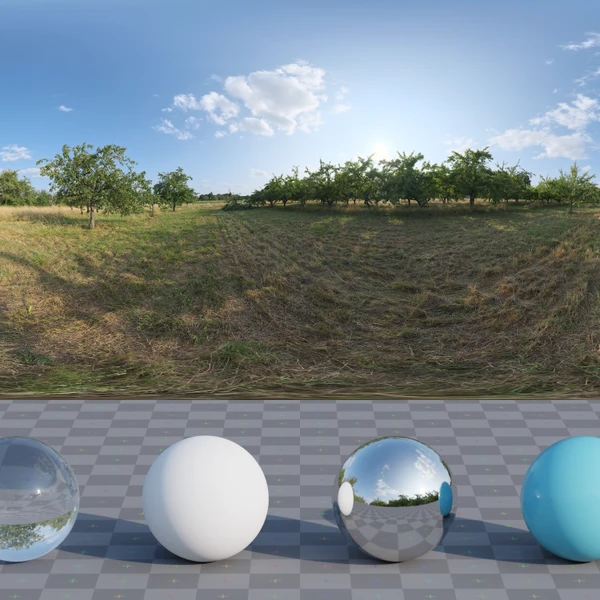 Dry Orchard Meadow - HDRI map - from Poly Haven