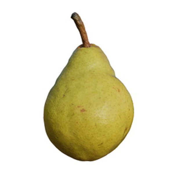 3DPear004 - 3D Models - from ambientCG