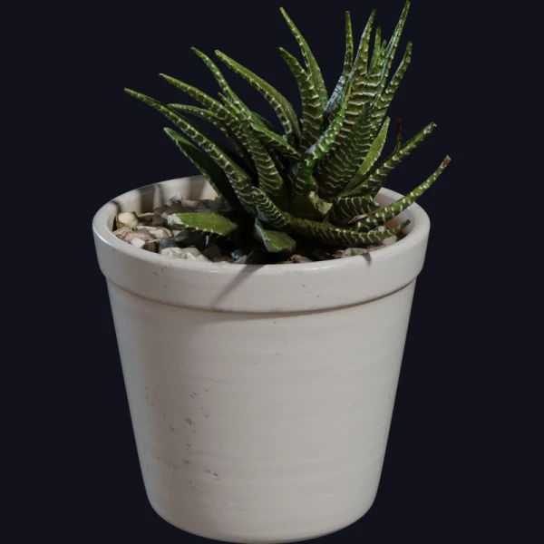 Potted Plant 04 - 3D Models - 3D model - from Poly Haven