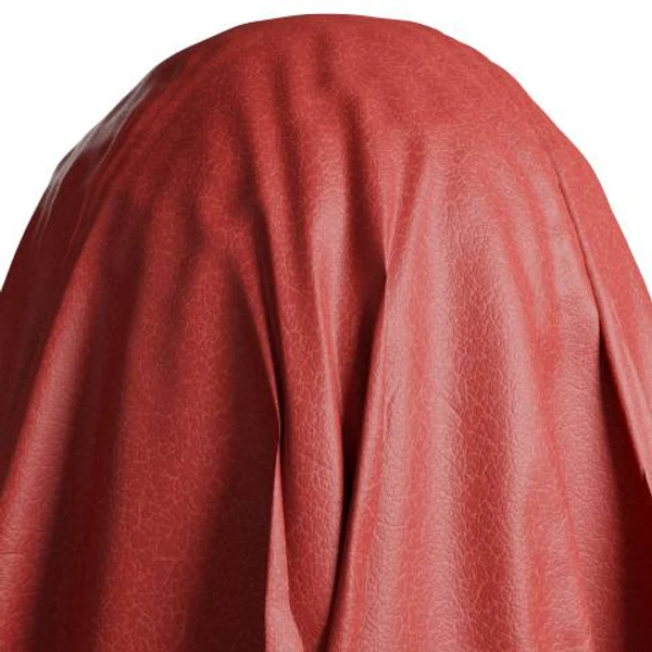 Red Leather 01