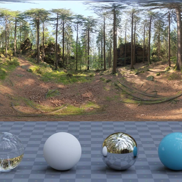 Forest Slope - HDRI map - from Poly Haven