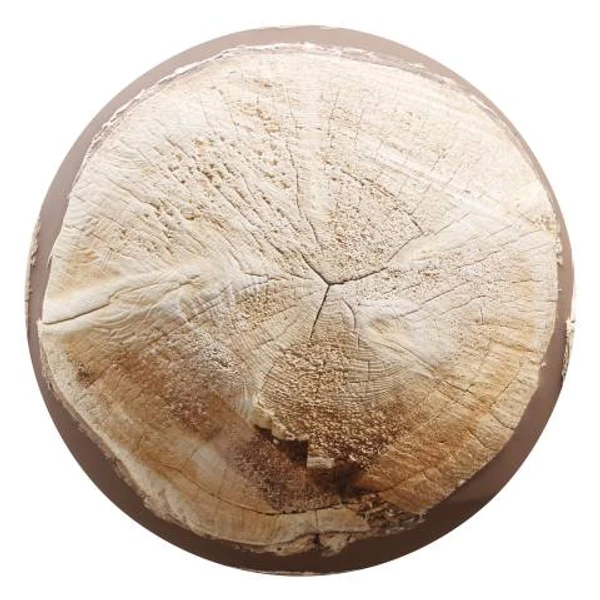 Tree Stump 09