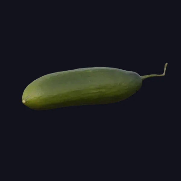 Cucumber 1 - 3D Models - 3D model - from Share Textures