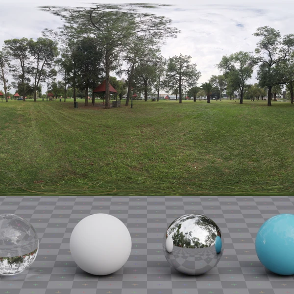 Pine Picnic - HDRI map - from Poly Haven