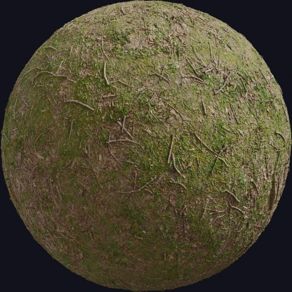Forrest Ground 01