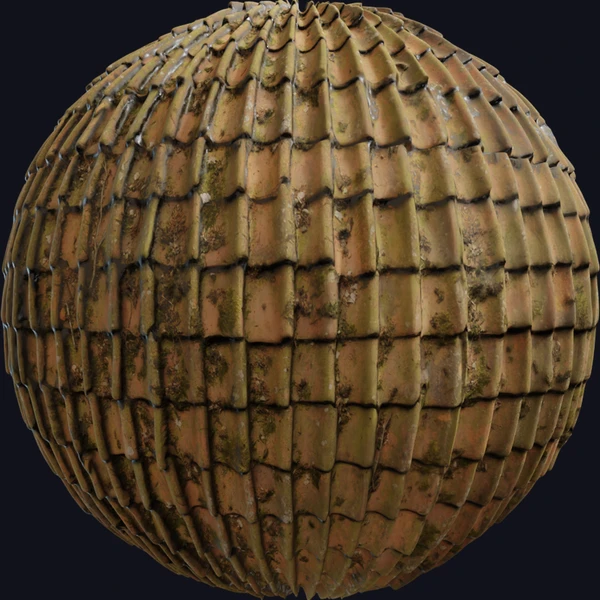 Roof 3