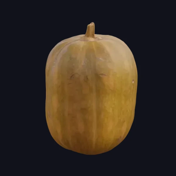 Pumpkin 7 - 3D Models - 3D model - from Share Textures