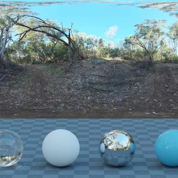 Gum Trees - HDRI map - from Poly Haven