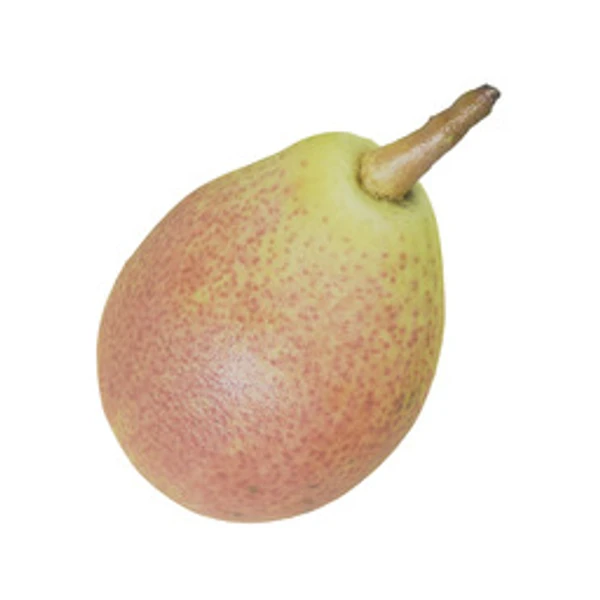 3DPear001 - 3D Models - from ambientCG