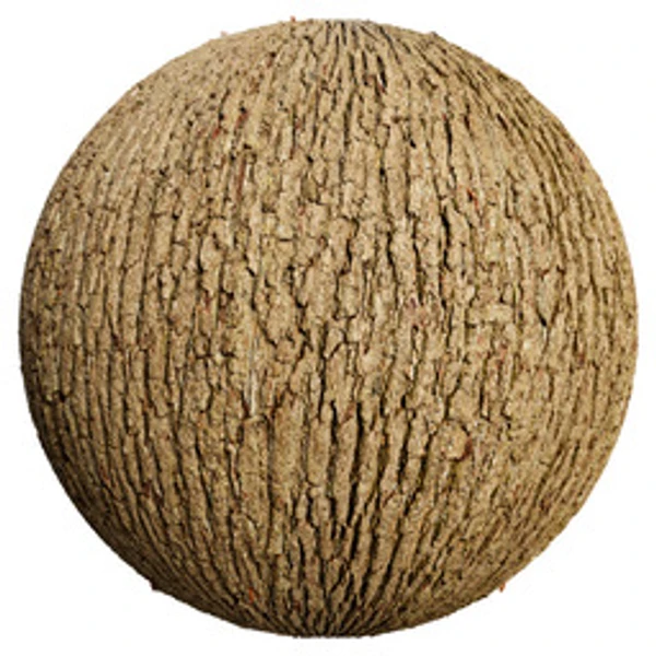 Bark 012