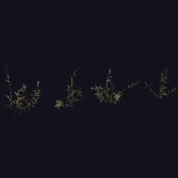 Shrub 02 - 3D Models - 3D model - from Poly Haven