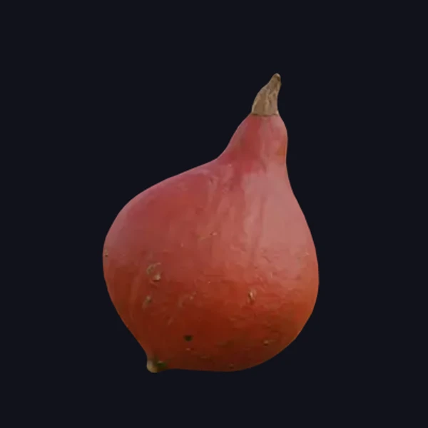 Pumpkin 6 - 3D Models - 3D model - from Share Textures
