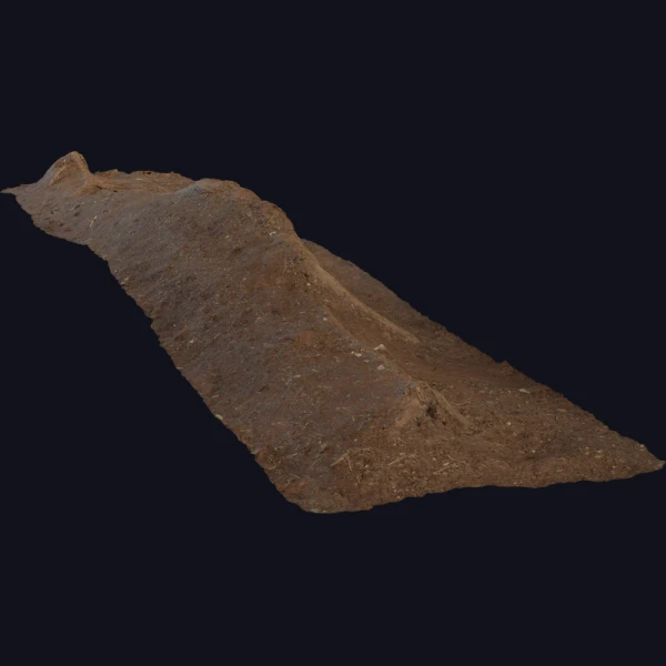 Single Root - 3D Models - 3D model - from Poly Haven
