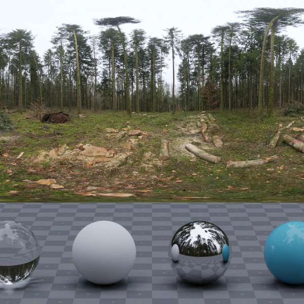 Niederwihl Forest - HDRI map - from Poly Haven