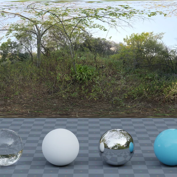 Nature Reserve Forest - HDRI map - from Poly Haven