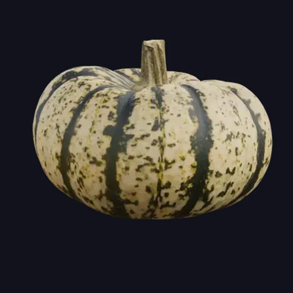 Pumpkin 2 - 3D Models - 3D model - from Share Textures