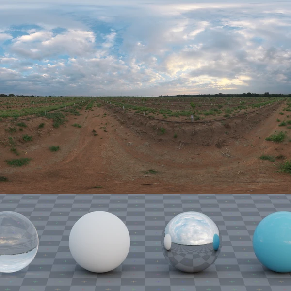 Citrus Orchard - HDRI map - from Poly Haven